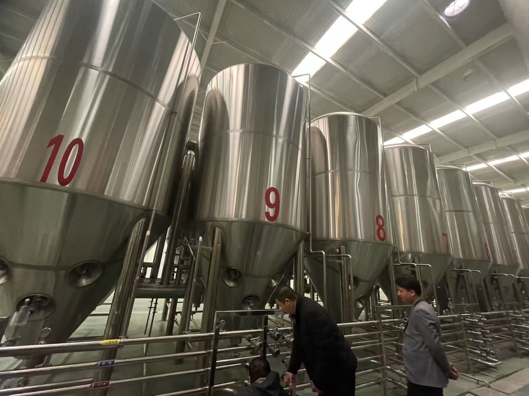 青龙精酿啤酒设备厂—平面布置、设备设计、制造、调试、培训等一条龙服务